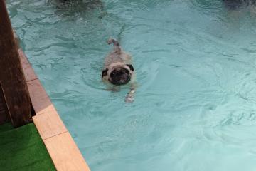 IMG_0600_convert_20120731230044.jpg