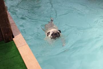 IMG_0601_convert_20120731230138.jpg