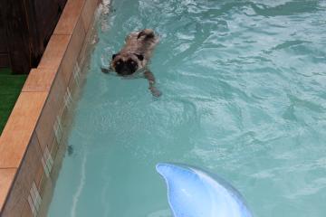 IMG_0613_convert_20120731230824.jpg