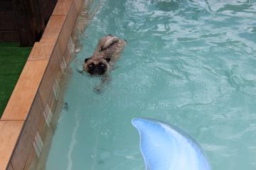 IMG_0614_convert_20120731231013.jpg