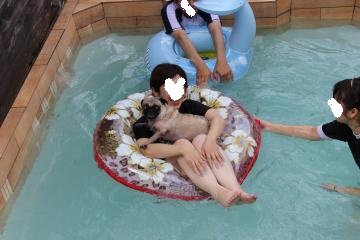 IMG_0621_convert_20120731231317.jpg