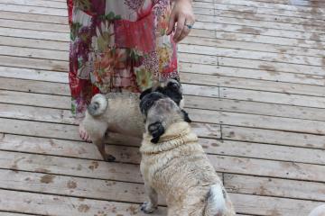 IMG_0629_convert_20120805224449.jpg