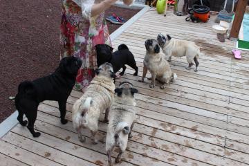 IMG_0634_convert_20120717234452.jpg