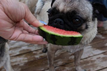 IMG_0641_convert_20120717234559.jpg