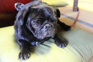 IMG_0649_convert_20120805224910.jpg
