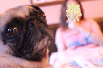 IMG_0655_convert_20120805225257.jpg