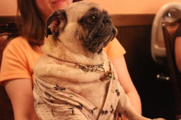 IMG_0659_convert_20120805225653.jpg