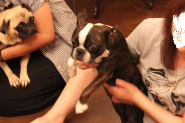 IMG_0662_convert_20120805225903.jpg