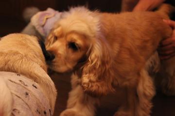 IMG_0663_convert_20120805225958.jpg
