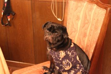IMG_0669_convert_20120805230217.jpg