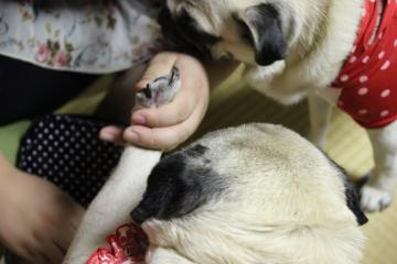 IMG_0670_convert_20120805230312.jpg