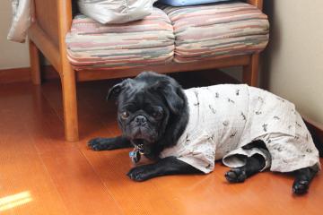 IMG_0672_convert_20120805230549.jpg