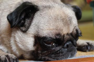 IMG_0673_convert_20120805230636.jpg