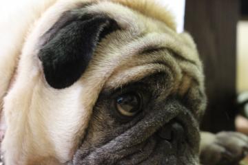 IMG_0674_convert_20120805230735.jpg