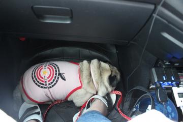 IMG_0705_convert_20120820210527.jpg