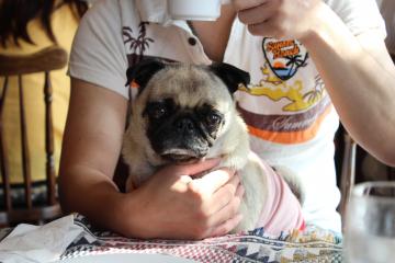 IMG_0709_convert_20120820210901.jpg