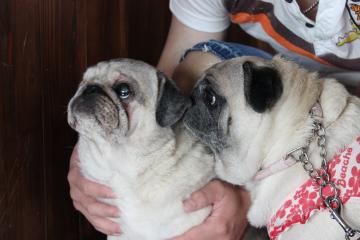 IMG_0717_convert_20120820211520.jpg