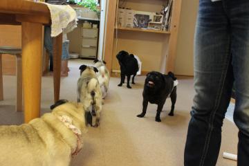 IMG_0728_convert_20120822225843.jpg