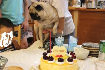 IMG_0735_convert_20120825141248.jpg