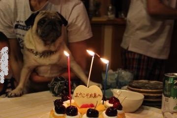 IMG_0736_convert_20120825141357.jpg