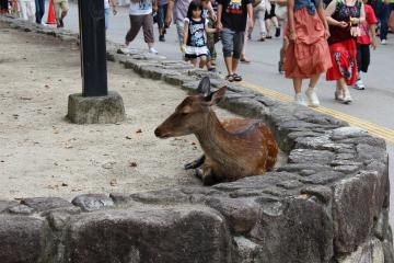 IMG_0753_convert_20120822230826.jpg