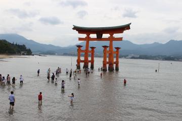 IMG_0754_convert_20120822230922.jpg