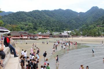 IMG_0755_convert_20120825143446.jpg