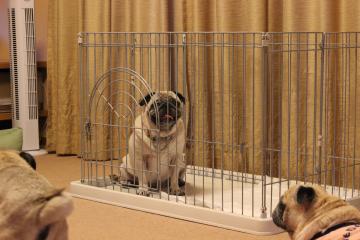 IMG_0762_convert_20120822231211.jpg