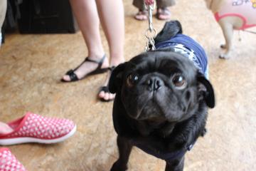 IMG_0767_convert_20120910231223.jpg