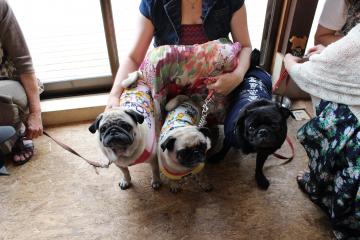 IMG_0773_convert_20120910231402.jpg