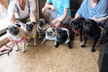 IMG_0777_convert_20120910231741.jpg