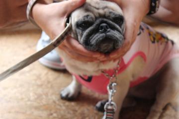 IMG_0786_convert_20120910232010.jpg