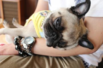 IMG_0787_convert_20120910232200.jpg