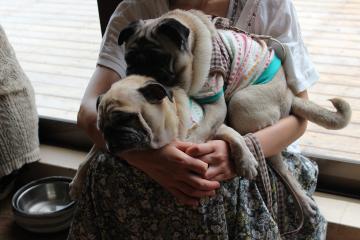 IMG_0788_convert_20120910232252.jpg
