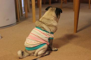 IMG_0798_convert_20120923224728.jpg