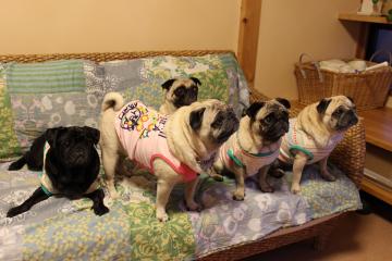 IMG_0804_convert_20120817001955.jpg