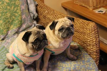 IMG_0812_convert_20120923225051.jpg