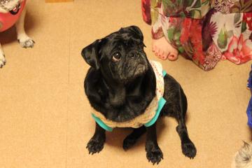 IMG_0815_convert_20120923225144.jpg