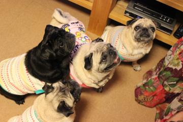 IMG_0819_convert_20120923225243.jpg