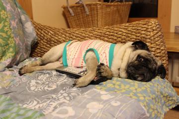 IMG_0827_convert_20120923225443.jpg