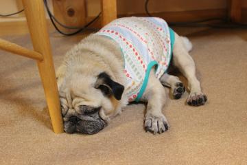 IMG_0831_convert_20120923225748.jpg