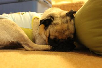 IMG_0832_convert_20120923225914.jpg