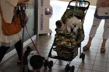IMG_0841_convert_20121012223713.jpg