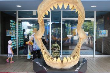 IMG_0845_convert_20121012223855.jpg