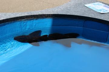 IMG_0849_convert_20121012224132.jpg