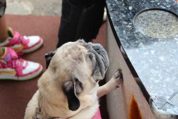 IMG_0850_convert_20121012224230.jpg
