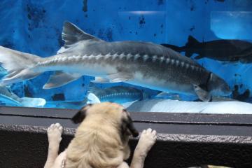 IMG_0853_convert_20121012224455.jpg