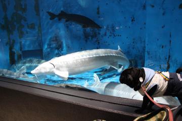 IMG_0854_convert_20121012224549.jpg
