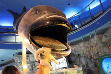 IMG_0856_convert_20121012224636.jpg