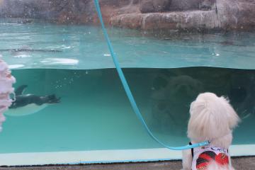 IMG_0859_convert_20121012224745.jpg